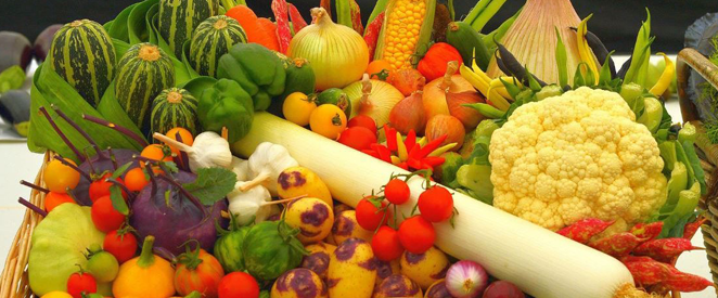 Vegetables – Verduras e Legumes em inglês - Inglês Gourmet